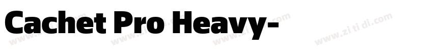 Cachet Pro Heavy字体转换
